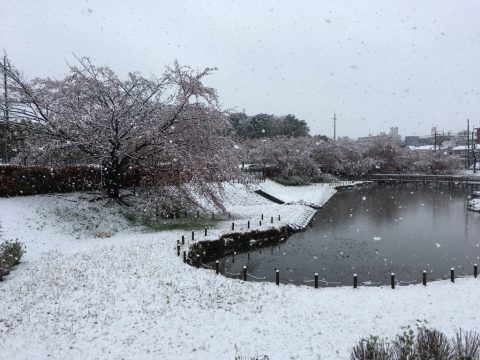 雪ですね～